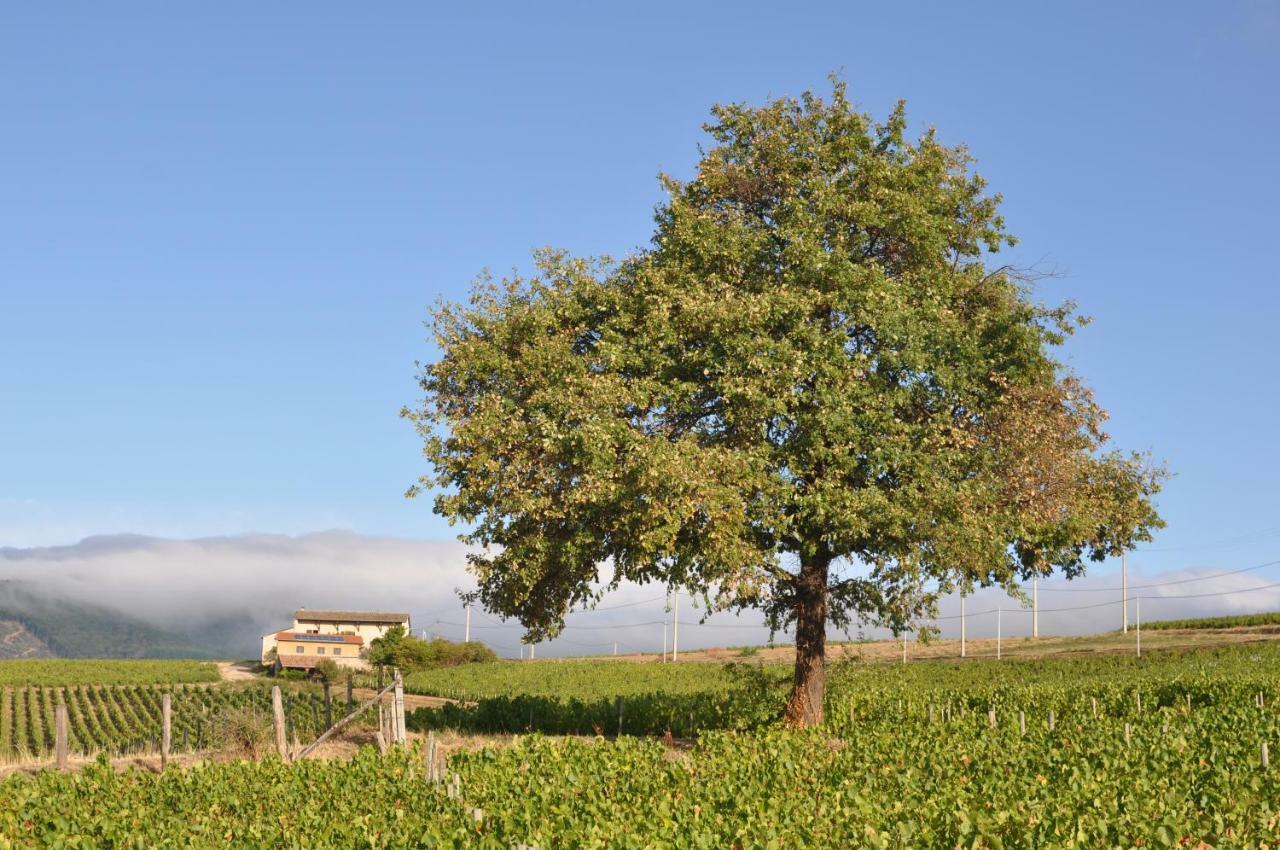 Gite Le Pot De Vin Lancie ภายนอก รูปภาพ